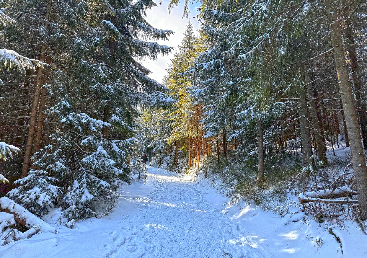 rusinowa polana