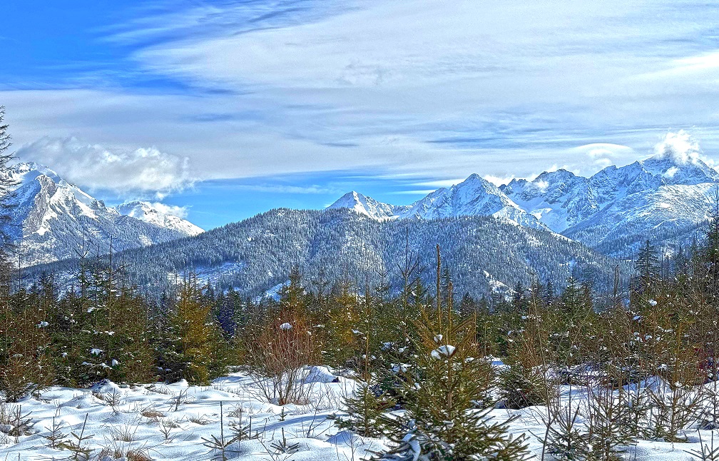 rusinowa polana zimą