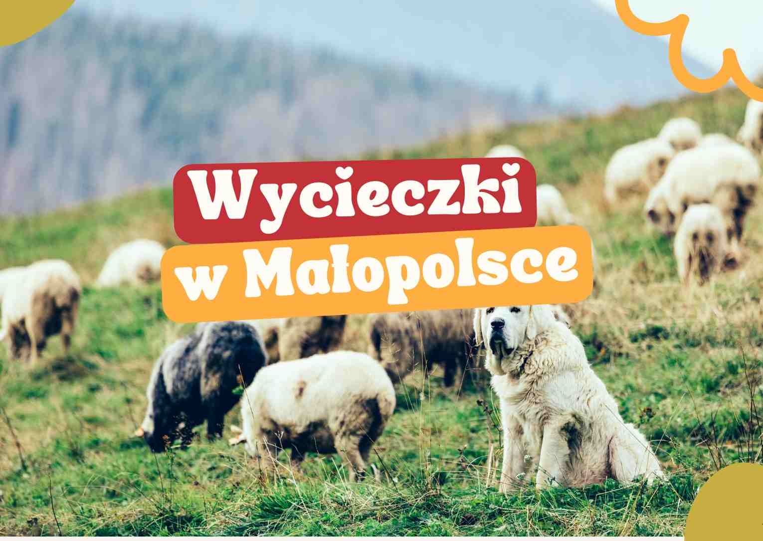 Wycieczki-w-Malopolsce