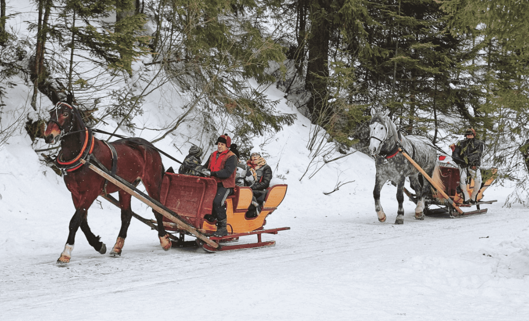 kuligi zakopane 6