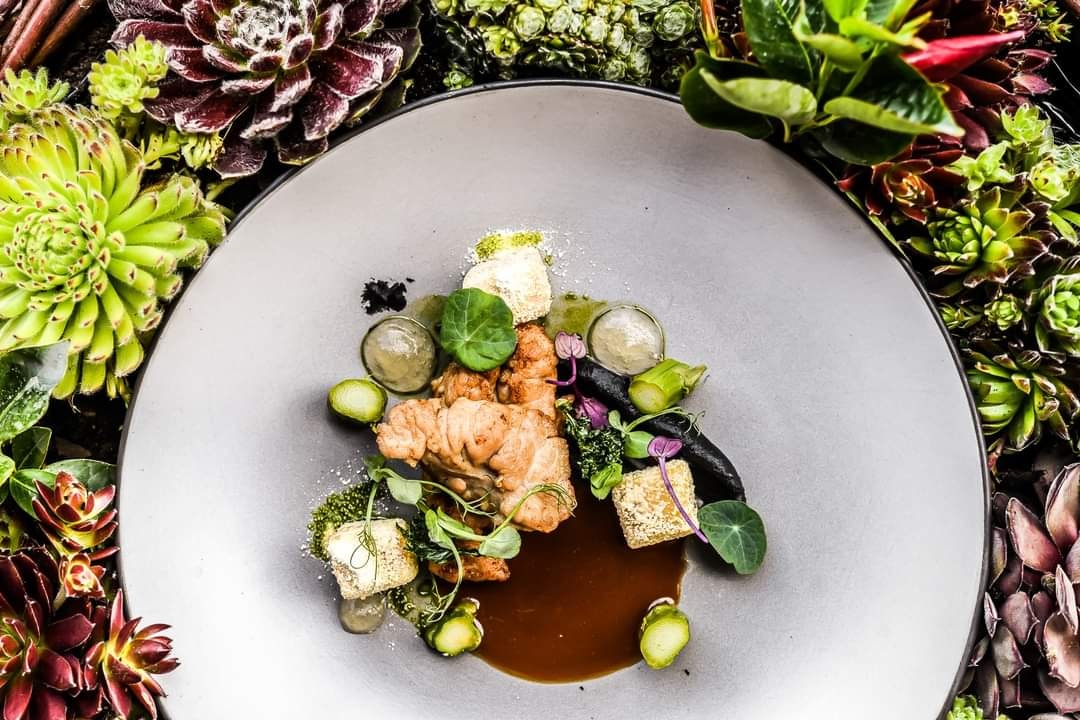 Aries Restauracja Halka