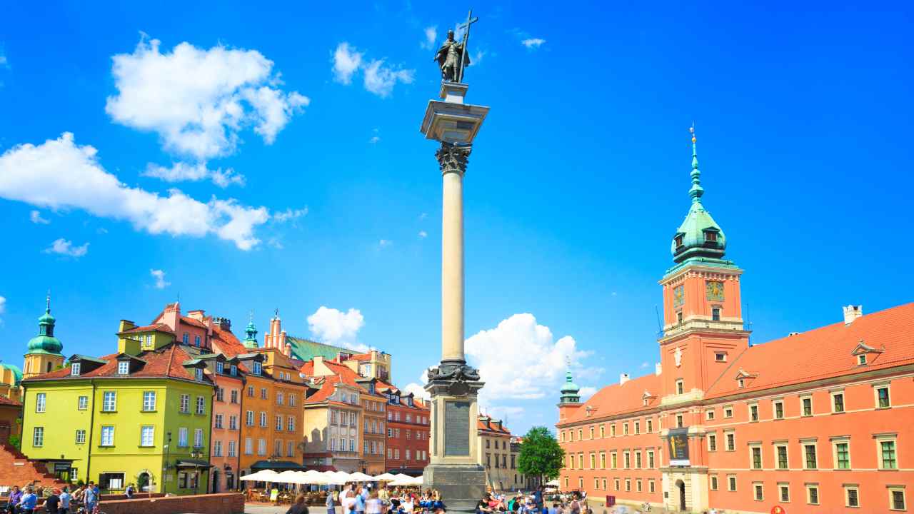 kolumna zygmunta
