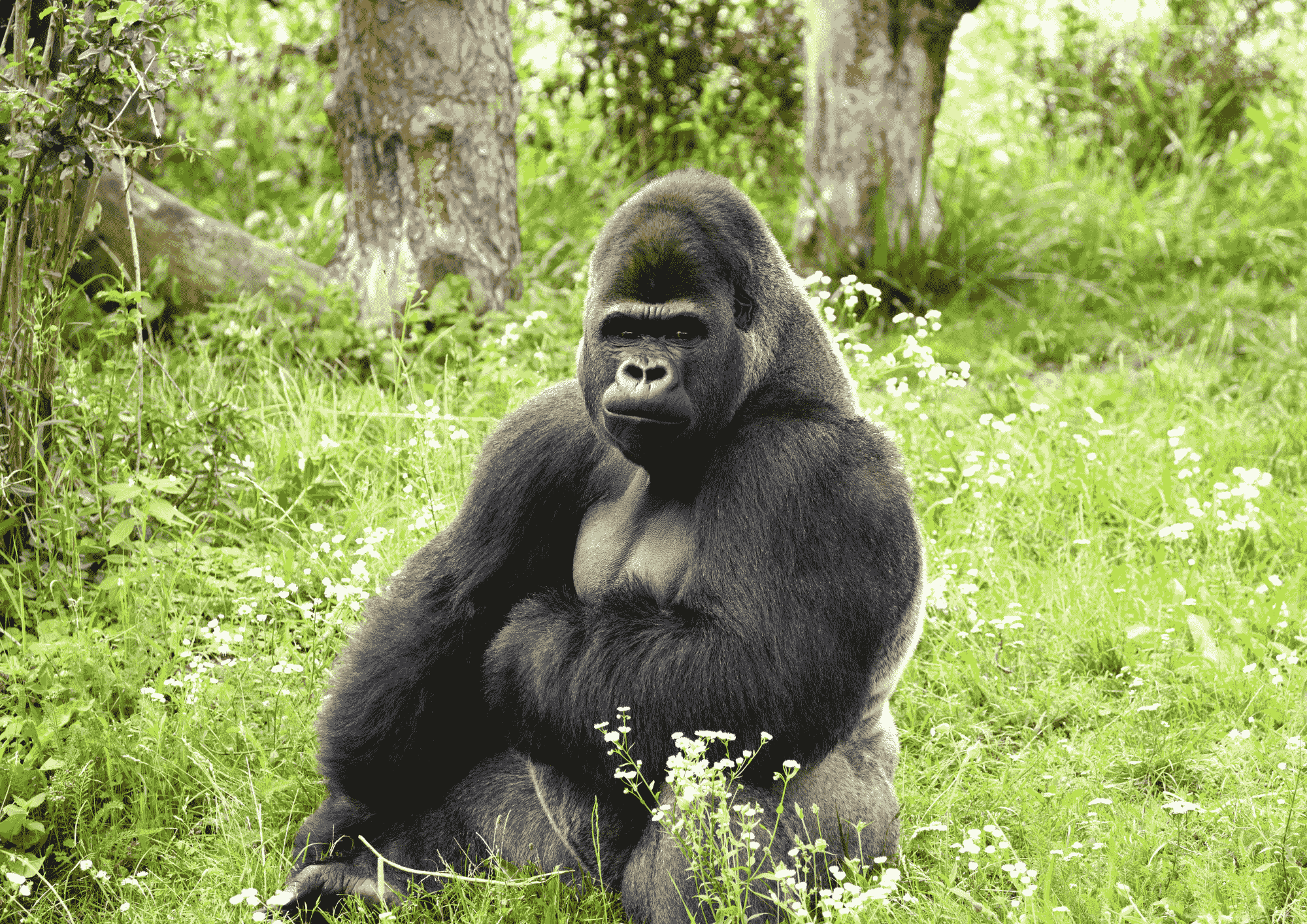 warszawa co robic z dziecmi zoo