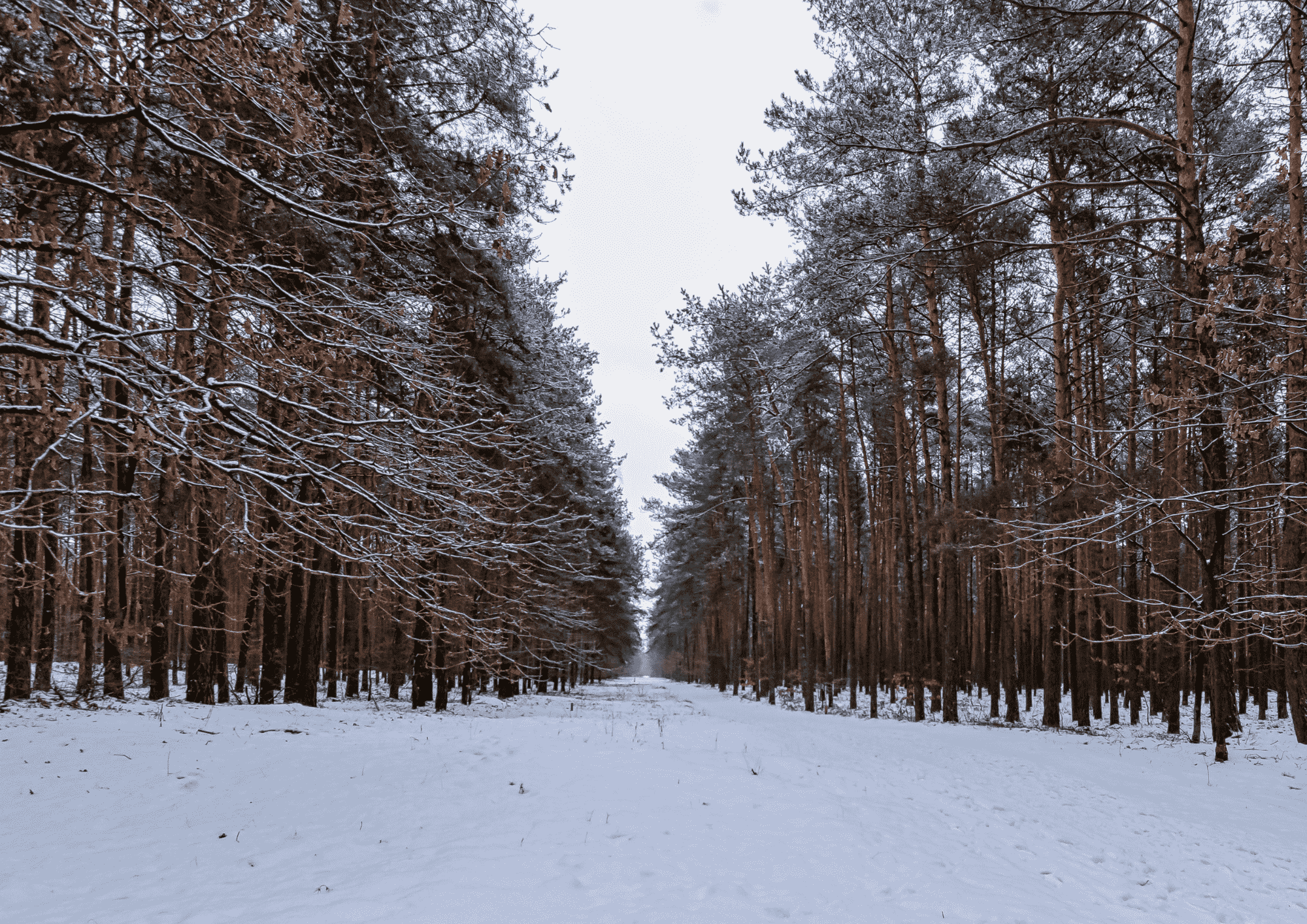 mazowieckie zima dzieci ferie2 1