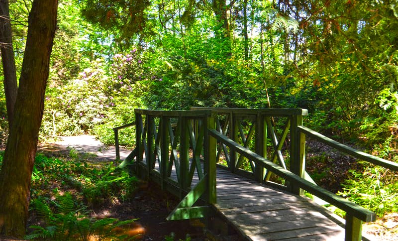 arboretum lipno