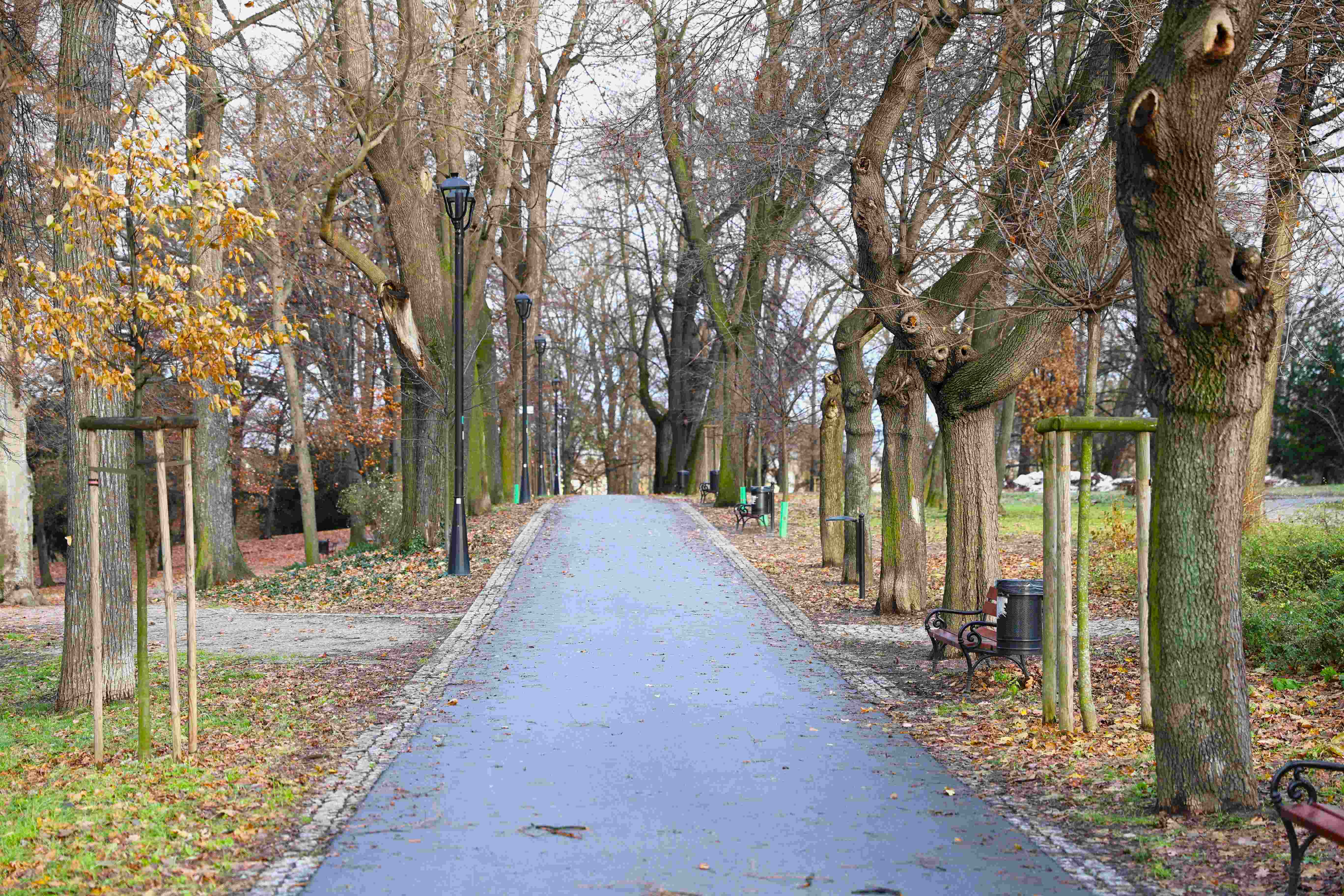 park brzeg