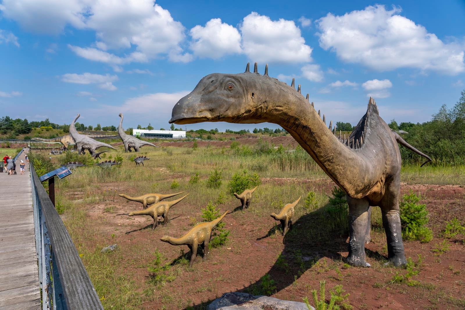 jura park krasiejow 2