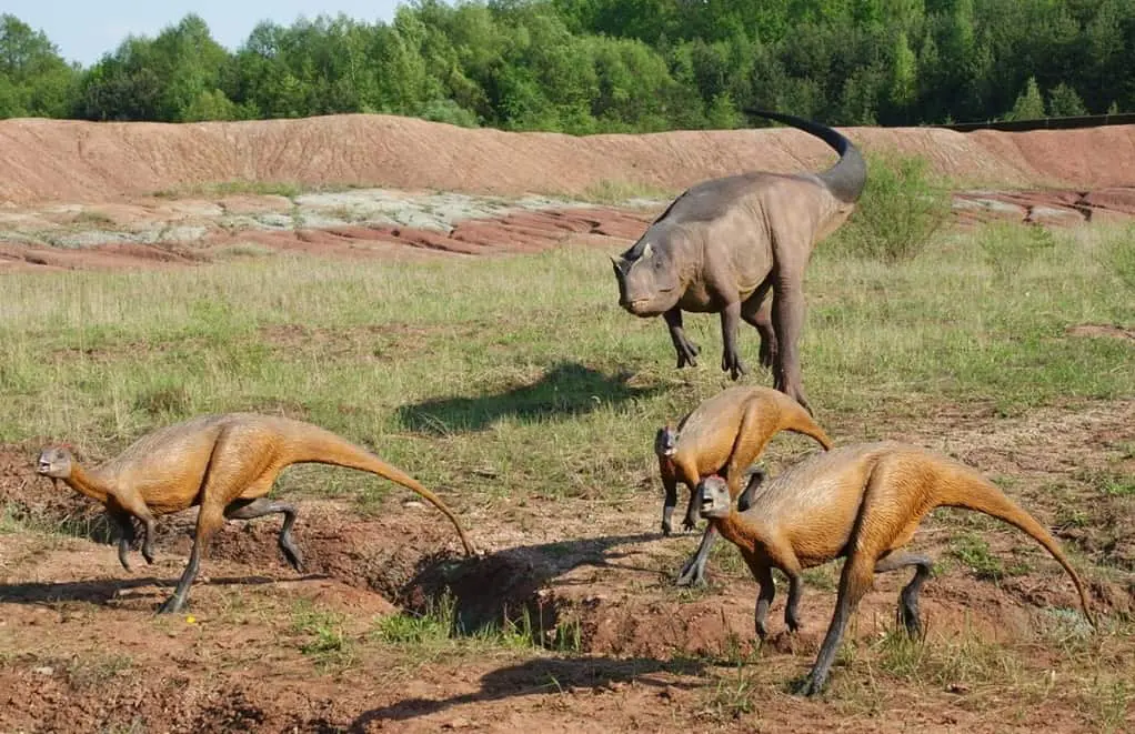 jurapark krasiejow