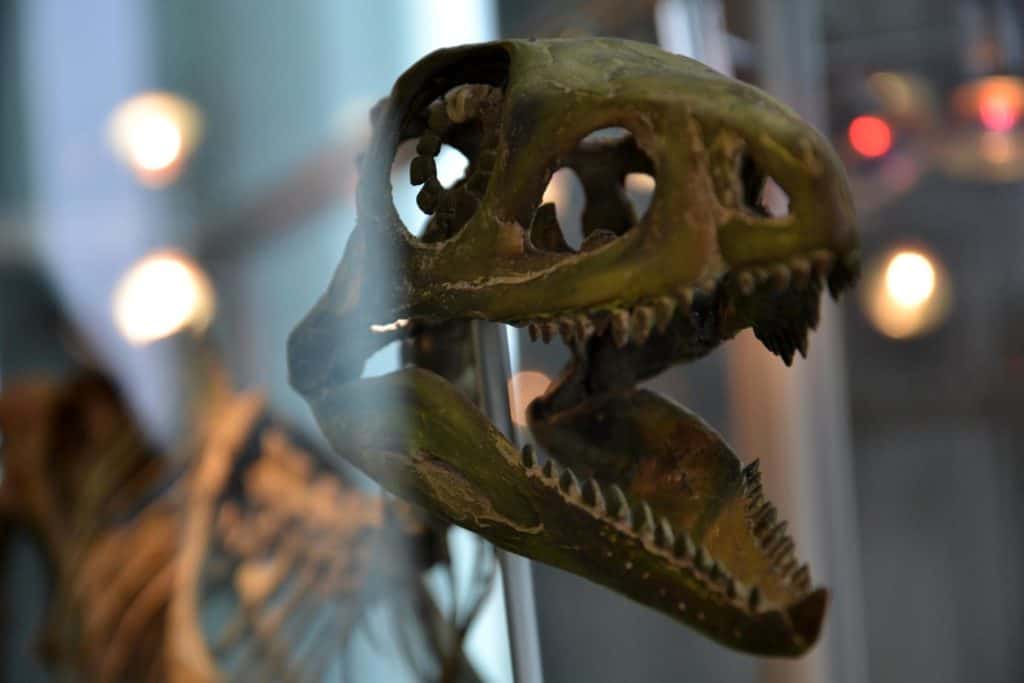 pawilon 2 1024x683