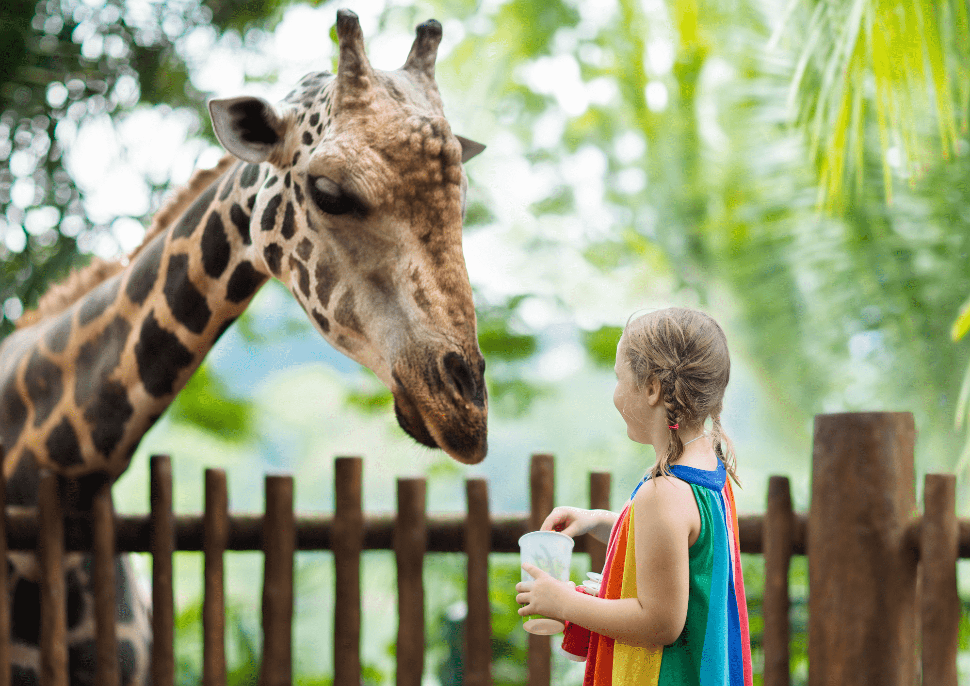 zoo opole wyspa bolko 1