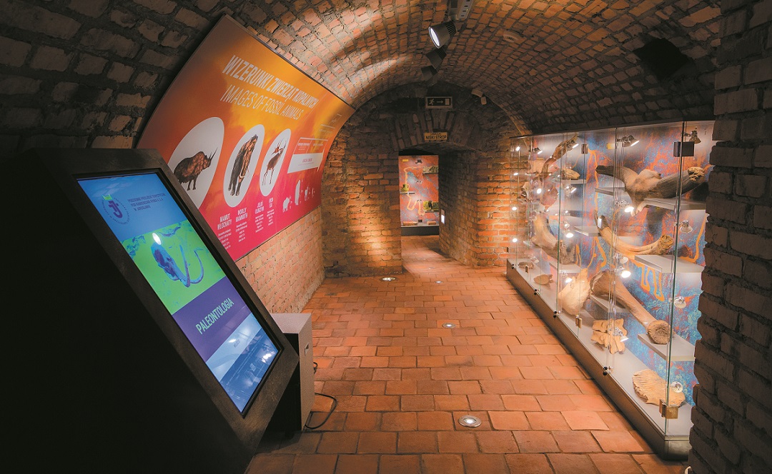 Podziemne Przejście Turystyczne Jarosław atrakcje