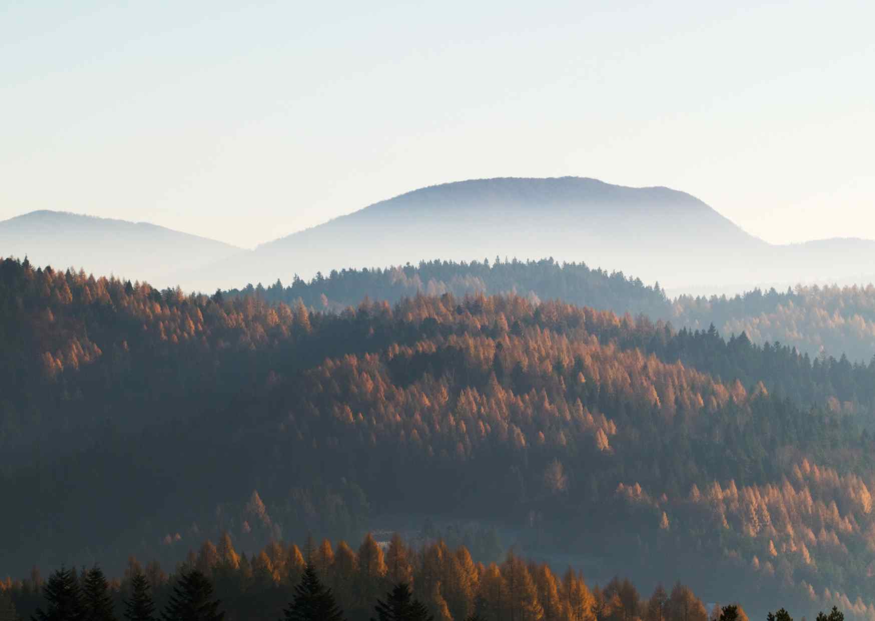 beskid niski przyroda