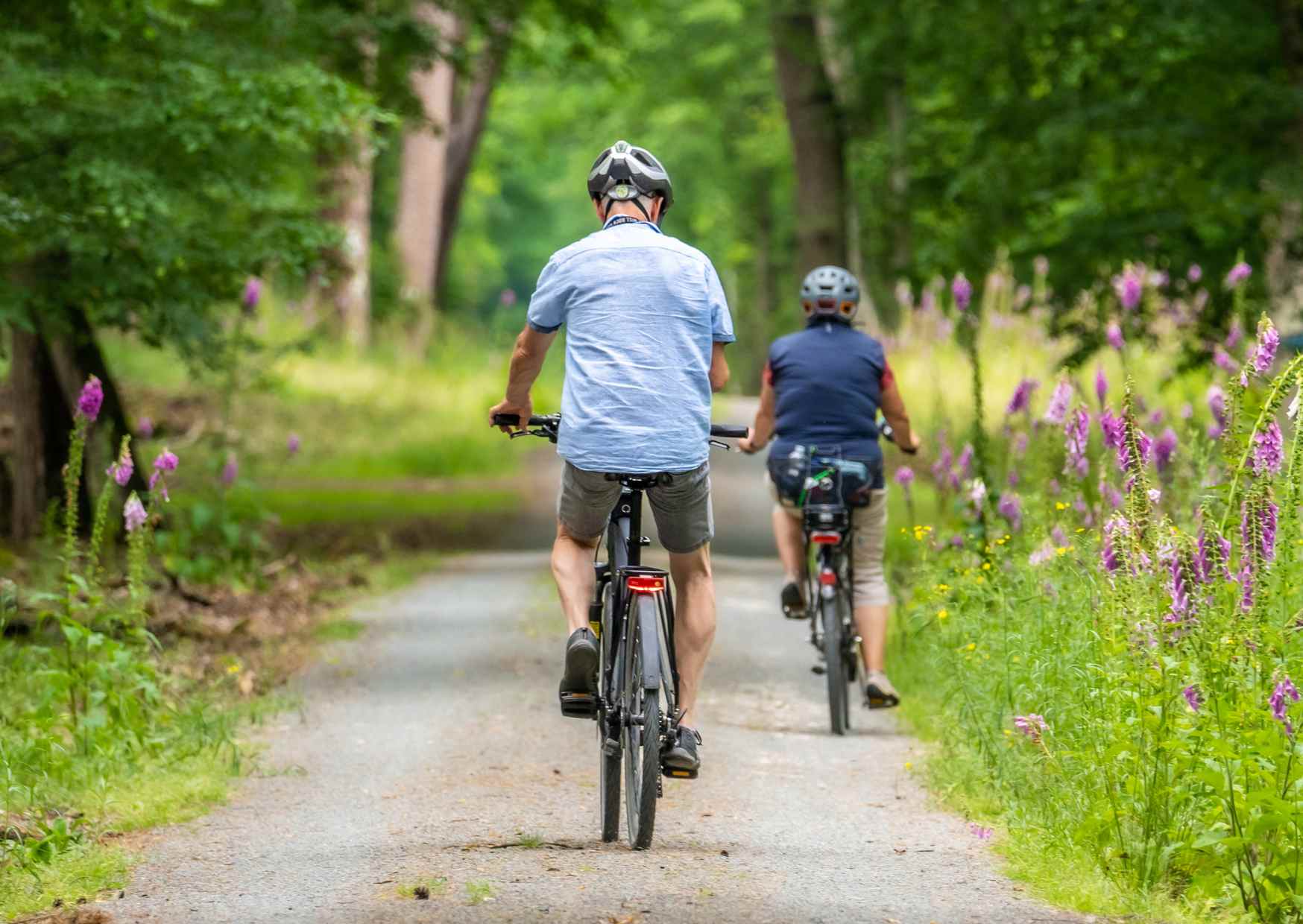 trasy rowerowe Beskid Niski