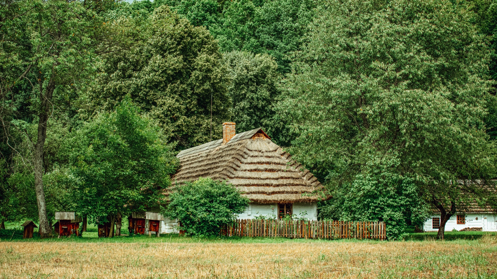 Sanok1
