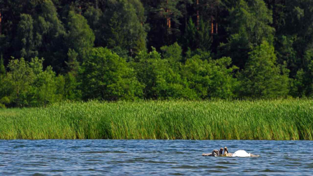 jeziora suwalszczyzna