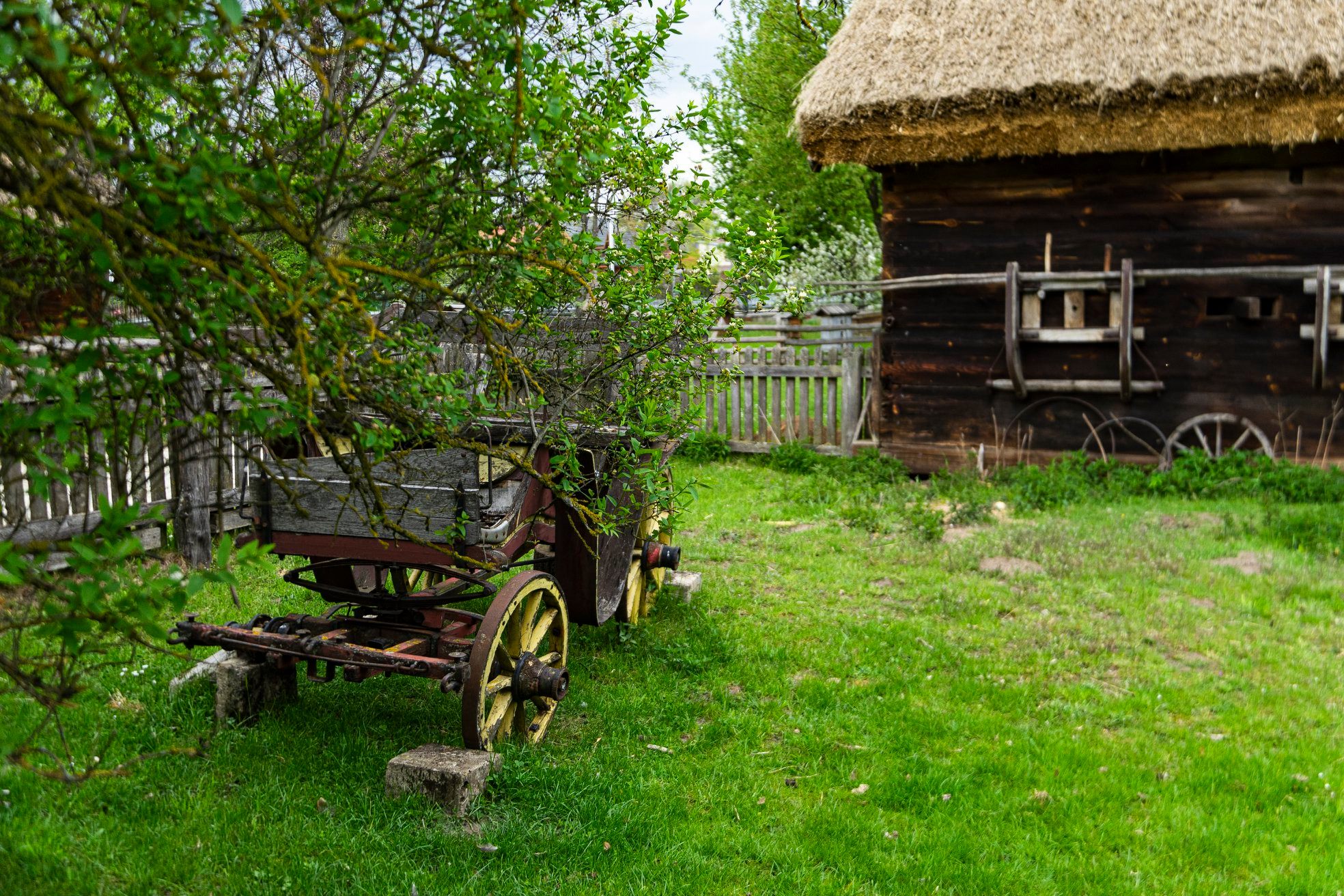 Muzeum Rolnictwa