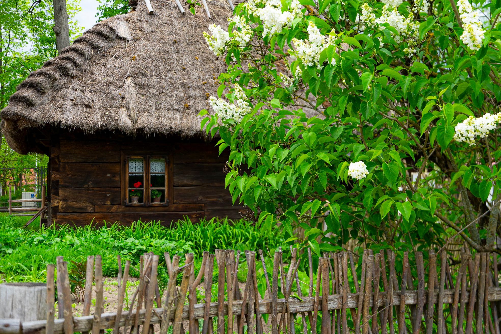 Muzeum-Rolnictwa-w-Ciechanowcu