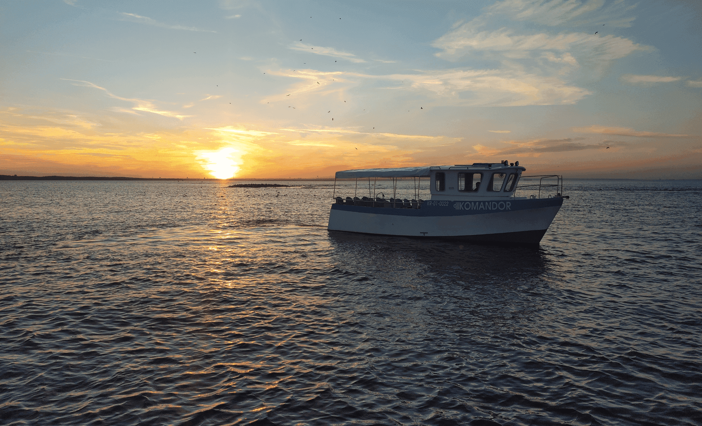 rejsy na foki mikoszewo pomorskie