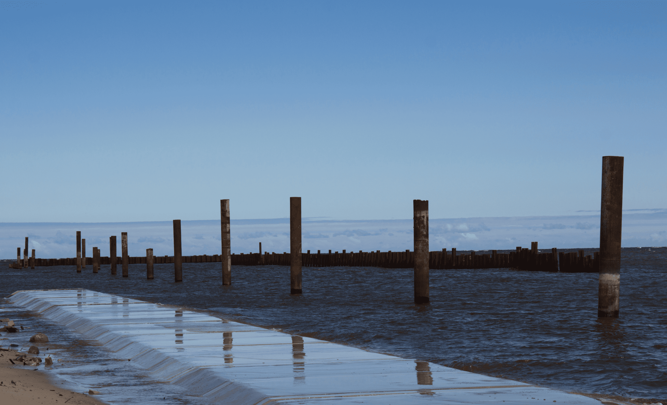 rezerwat przyrody mewia lacha 1