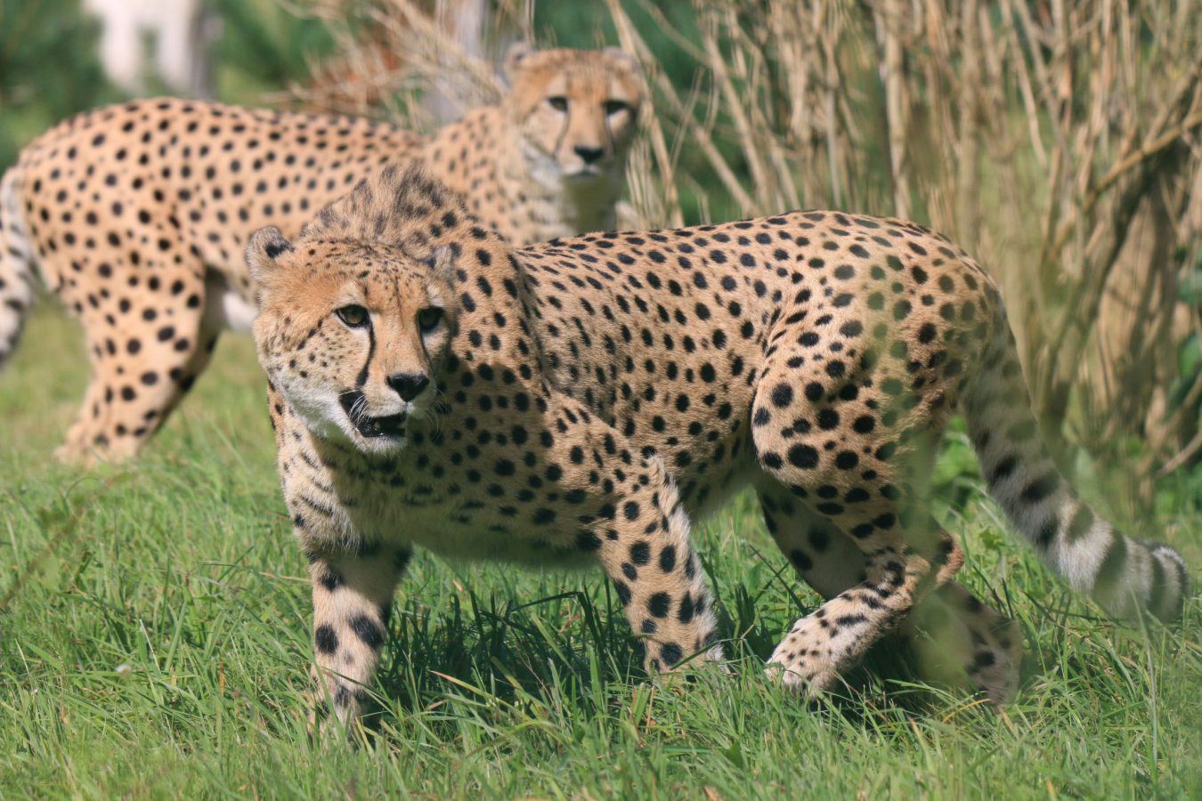 Zoo Gdańsk