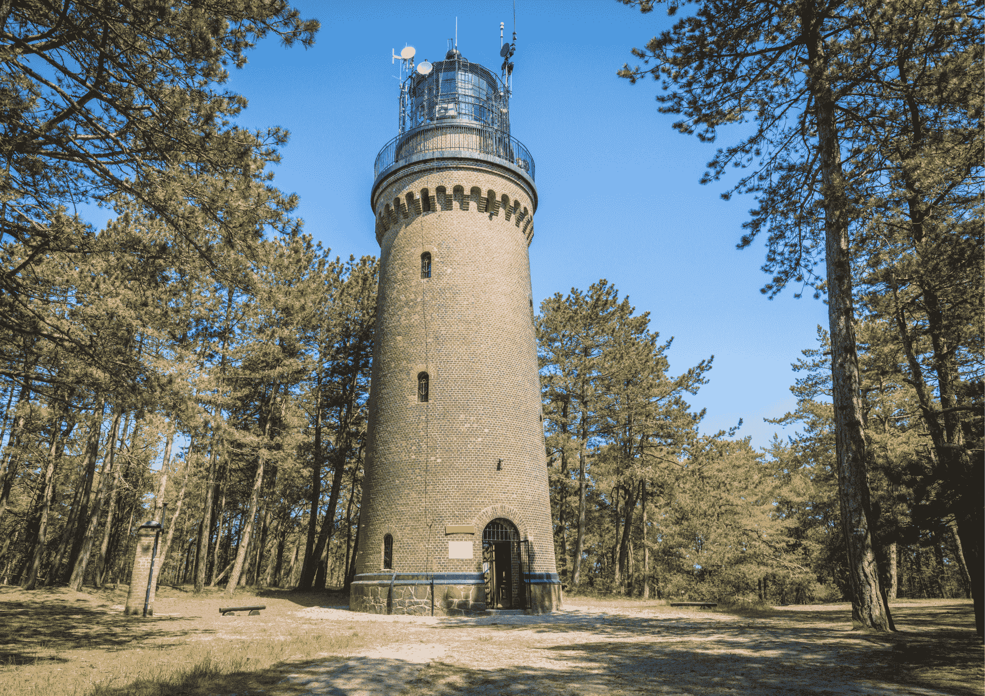 latrania morska kolobrzeg2 1