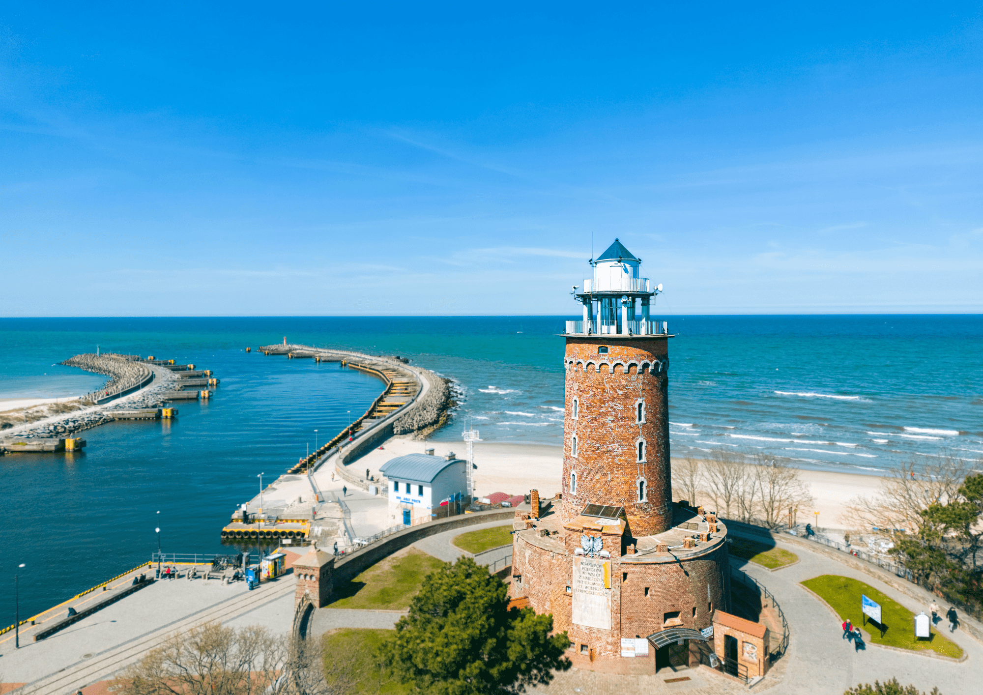 latrania morska kolobrzeg