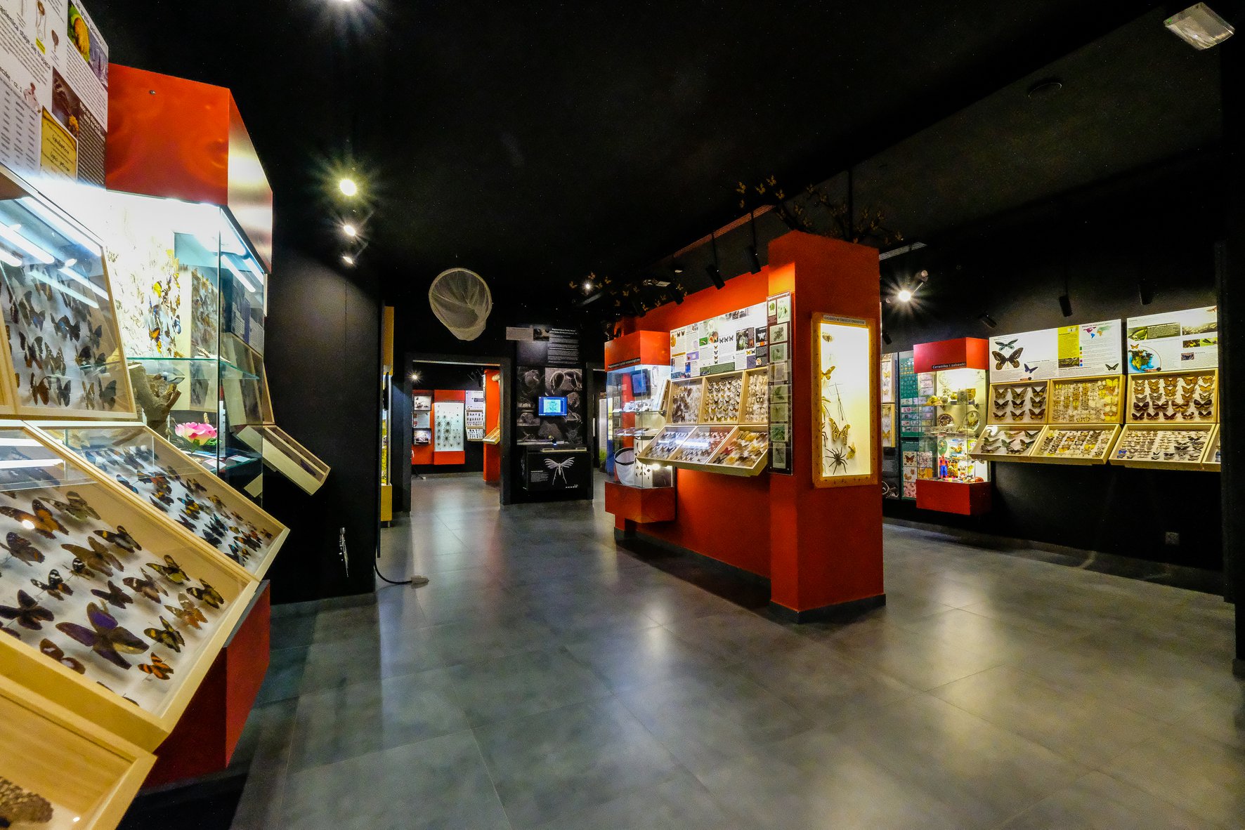 Muzeum Motyli w Lebie