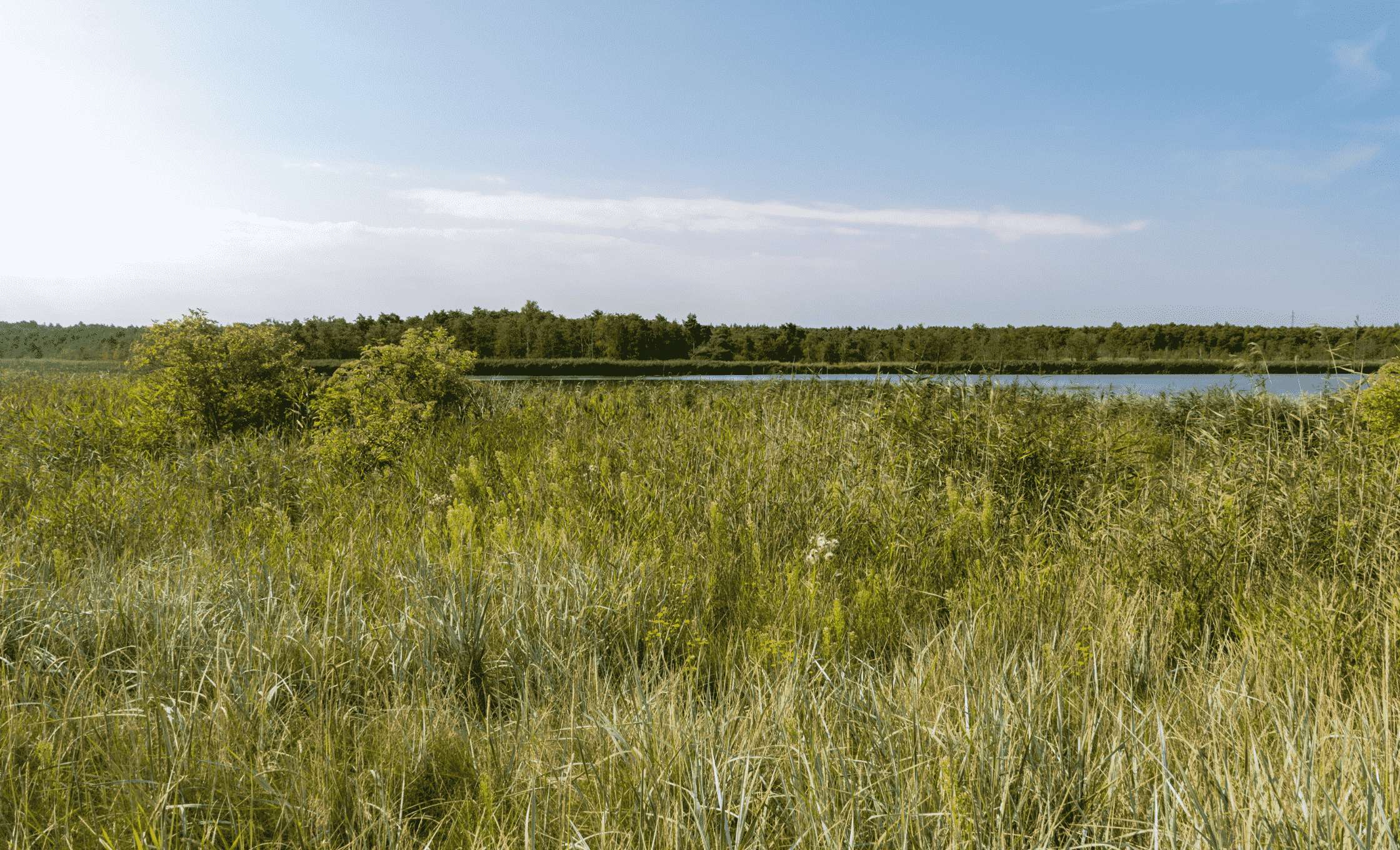 rezerwat ptasi raj 1