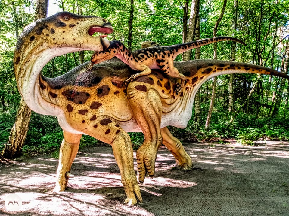 Park Dinozaurów Łeba Park