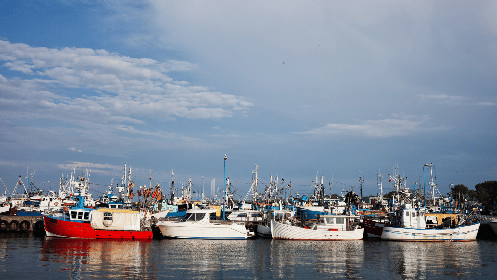 władysławowo atrakcje port żeglarstwo 
