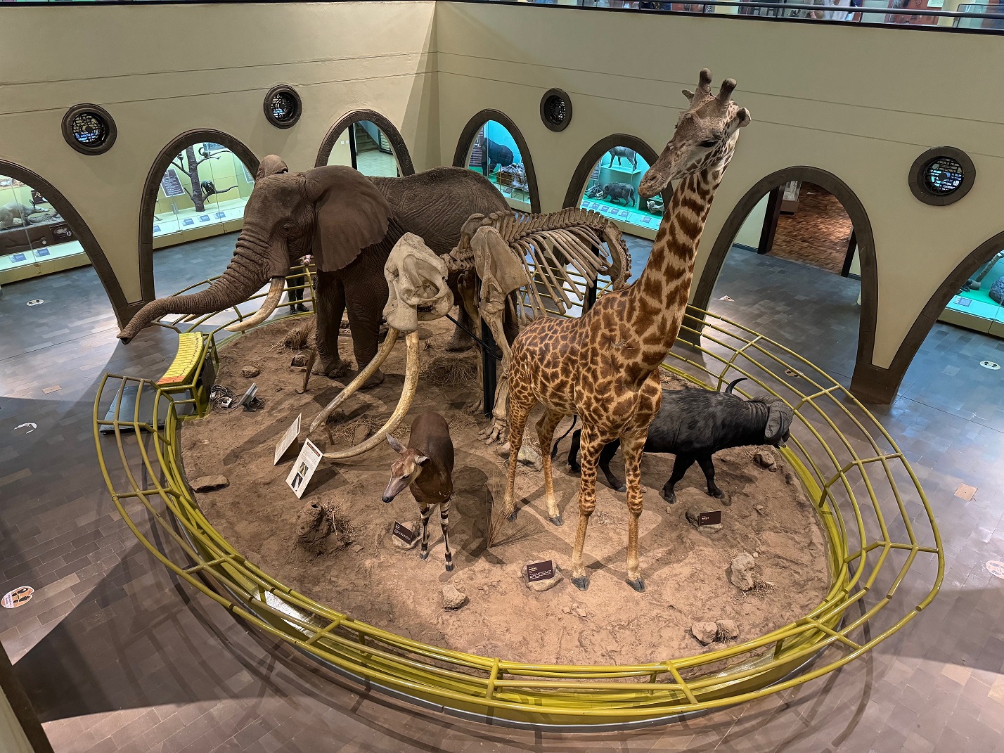 Muzeum Narodowe Nairobi Kenia