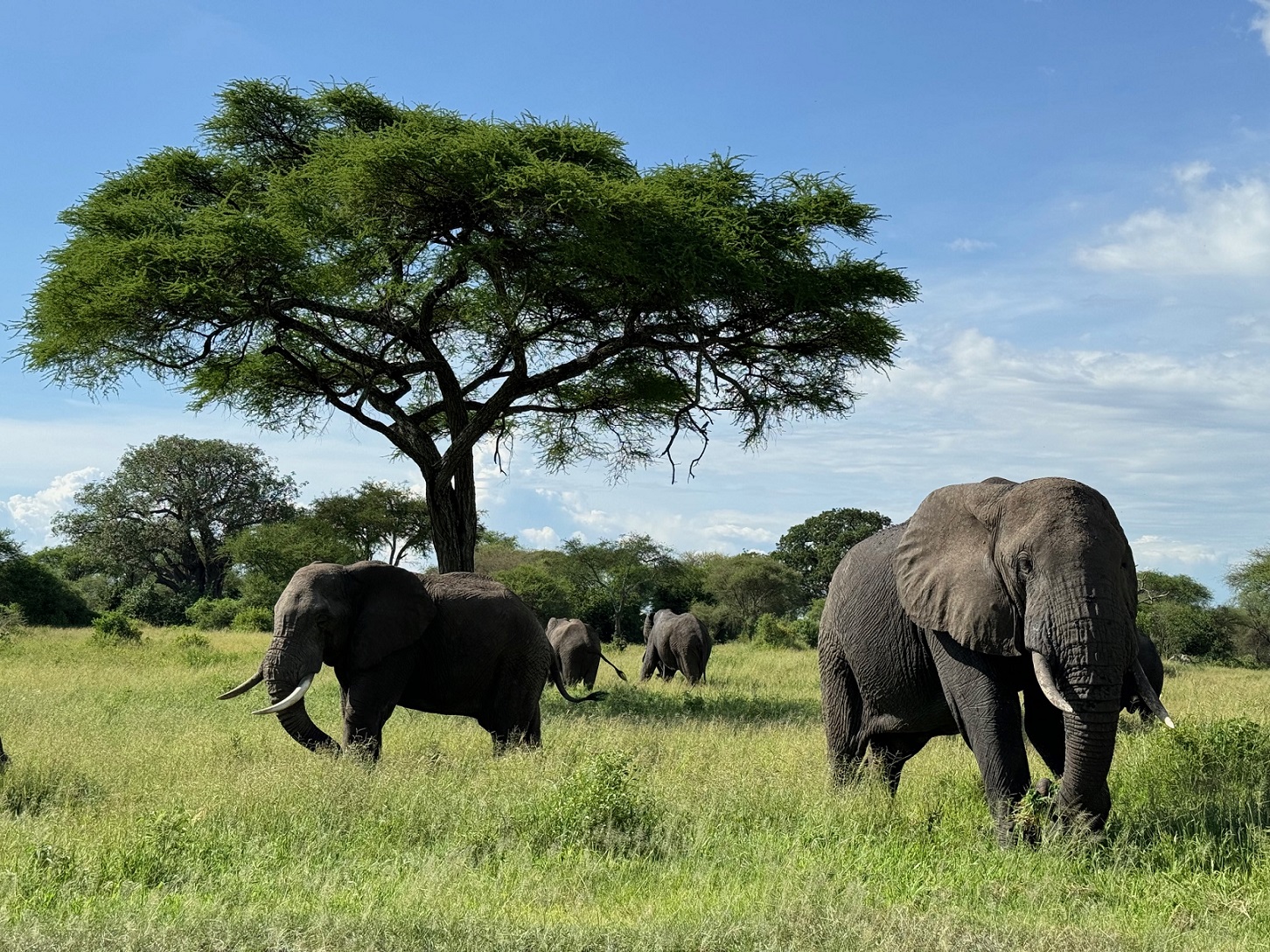 Tanzania-praktyczny-poradnik