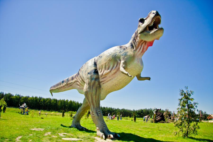 baltycki park dinozaurow wrzosowo