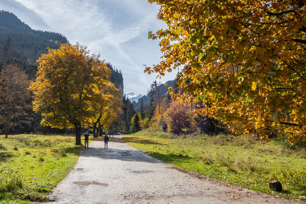 Przewodnik-Tatry