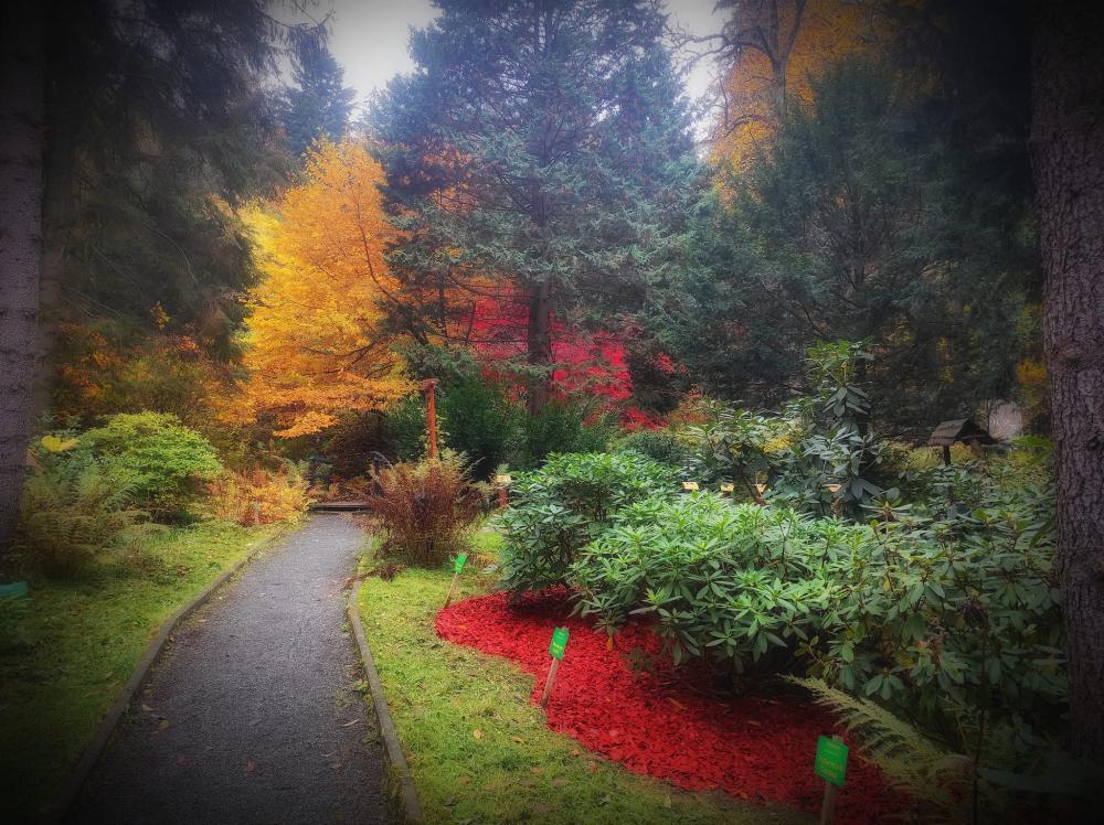 Arboretum w Lądku-Zdrój
