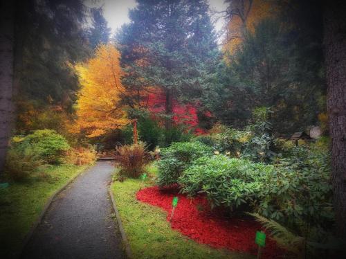 Arboretum w Lądku-Zdrój