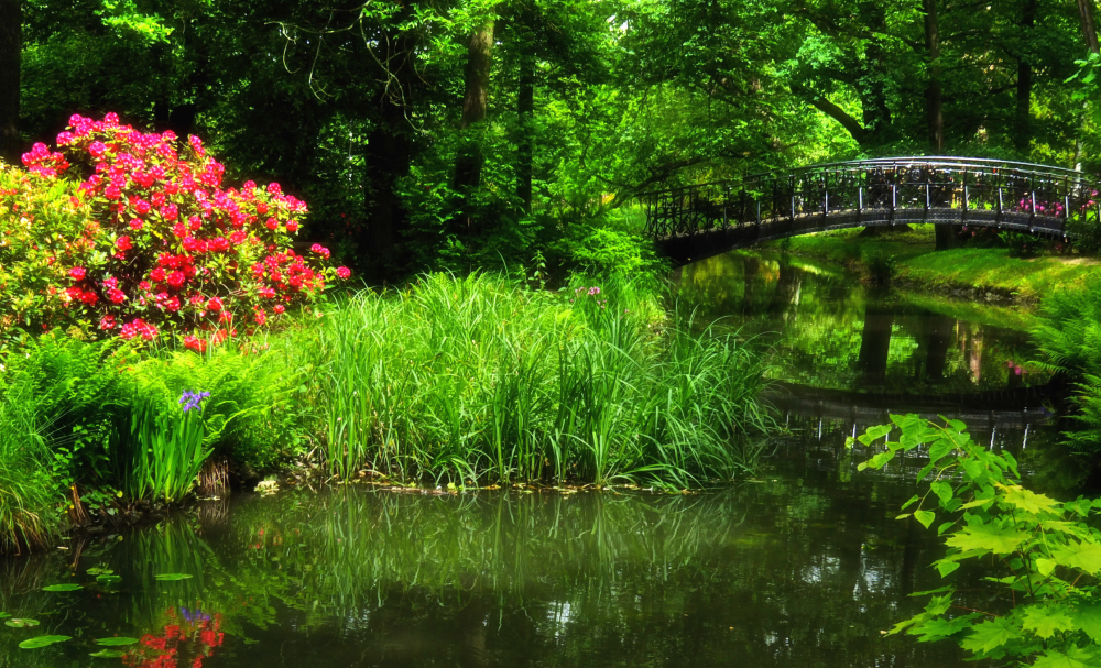 Park Szczytnicki