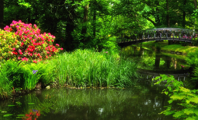Park Szczytnicki