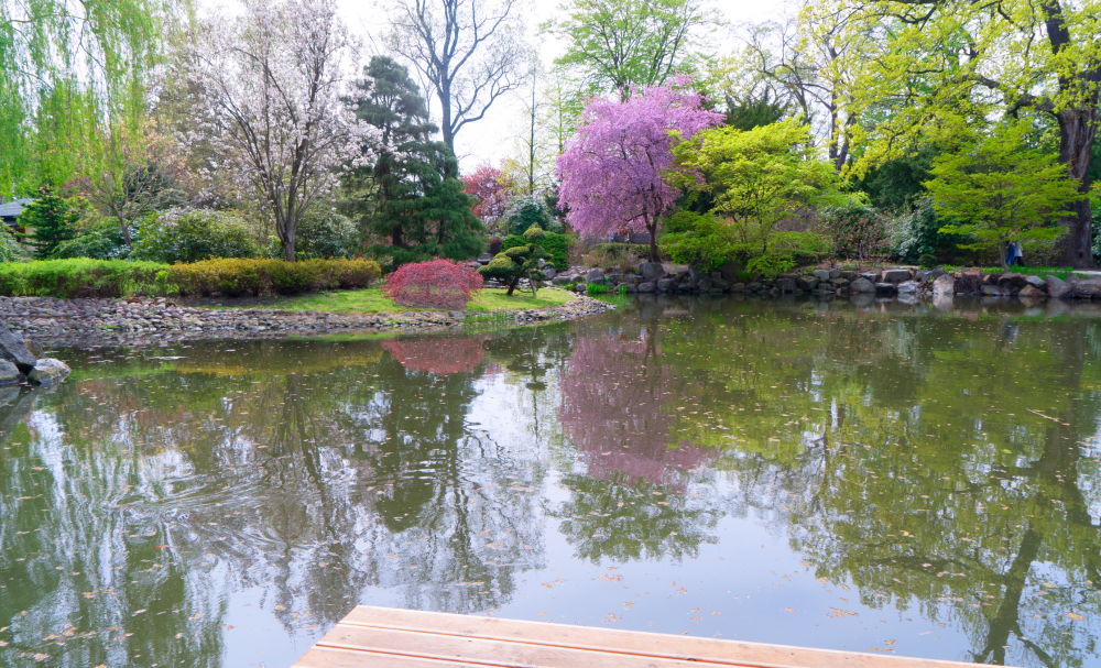 Ogród Botaniczny Uniwersytetu Wrocławskiego