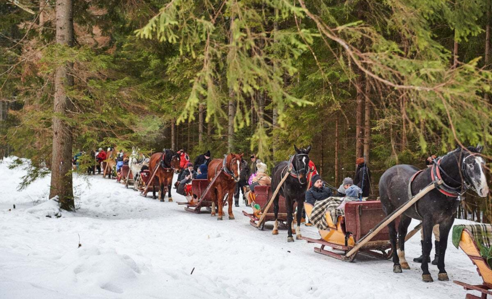 Kuligi.pl Zakopane