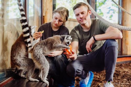 Kawiarnia z lemurami w Miłkowie