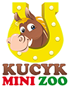 Kucyk Mini Zoo