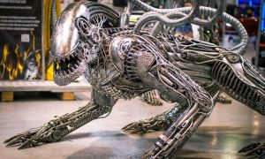 Fabryka-Robotow-w-Mosznej