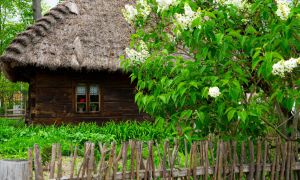 Muzeum-Rolnictwa-w-Ciechanowcu