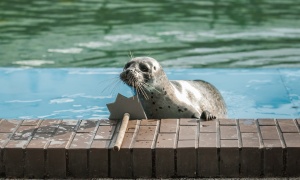 Fokarium Sea Park 